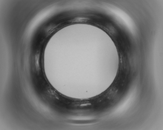 X0000112951150200908311504