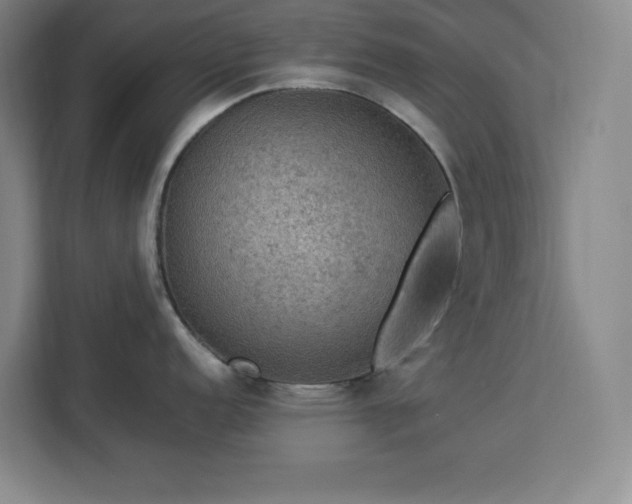 X0000112951152200908311504