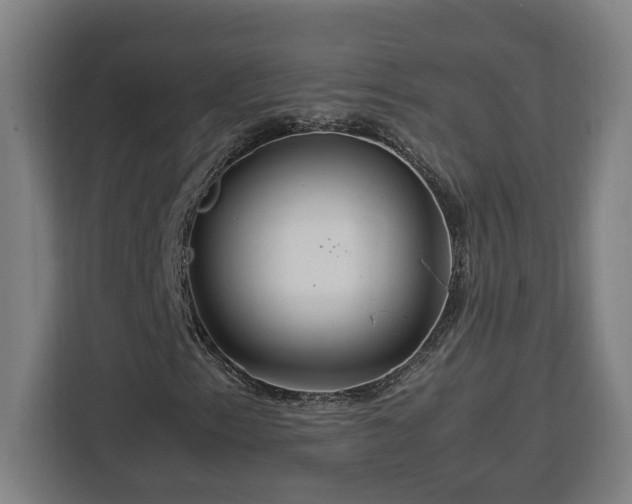 X0000112951153200908311503