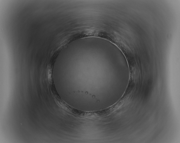 X0000112951154200908311503