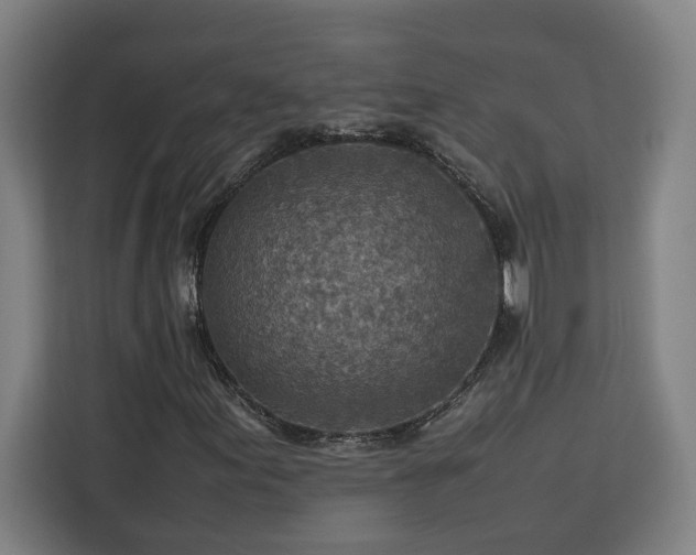 X0000112951155200908311503