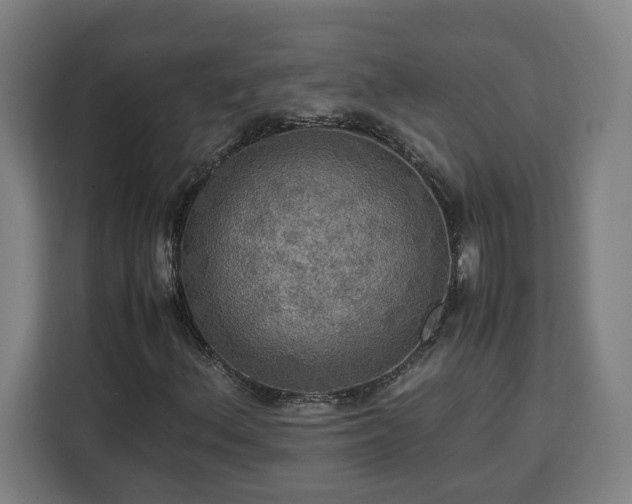 X0000112951156200908311503