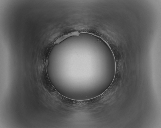 X0000112951157200908311503