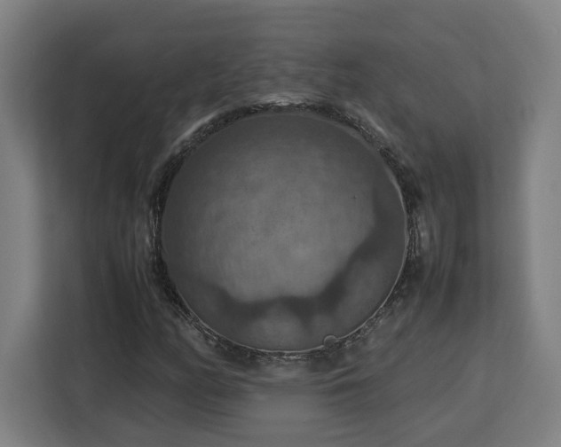 X0000112951158200908311503