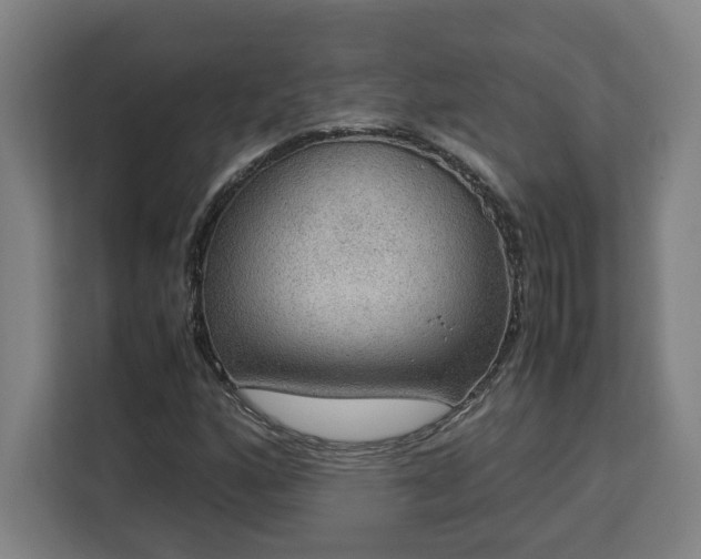 X0000112951160200908311503