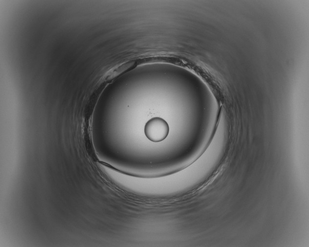 X0000112951161200908311503