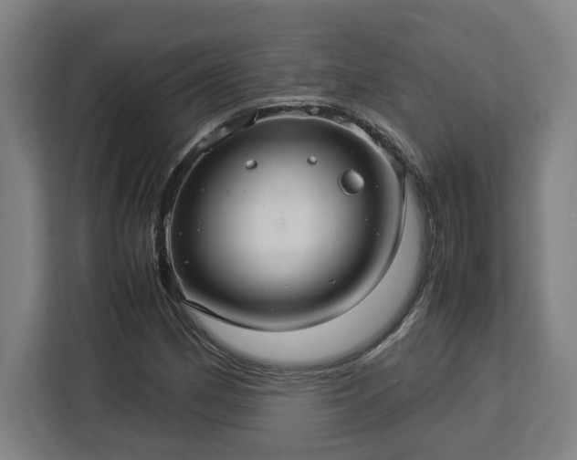 X0000112951162200908311503