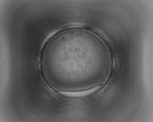 X0000112951164200908311503