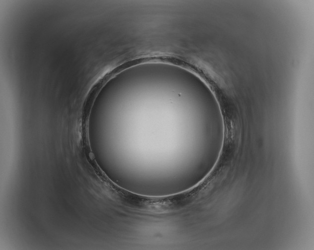 X0000112951165200908311503