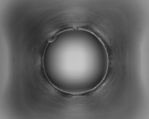 X0000112951169200908311503