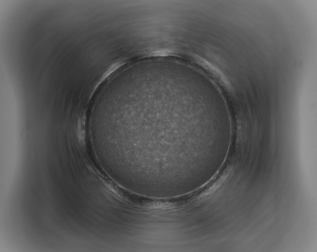 X0000112951170200908311503