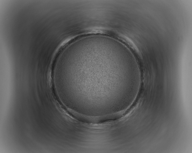 X0000112951172200908311503