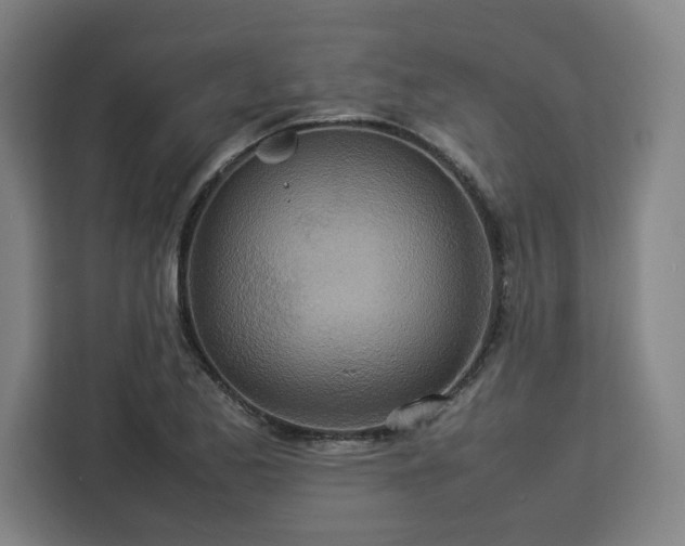 X0000112951173200908311503