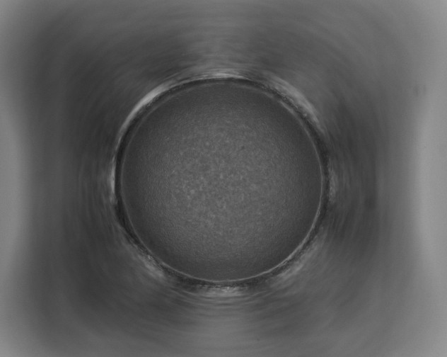 X0000112951174200908311503