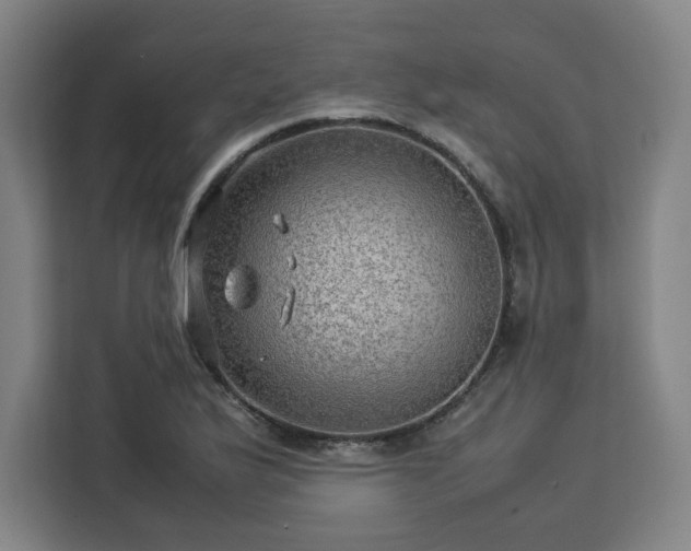 X0000112951175200908311503