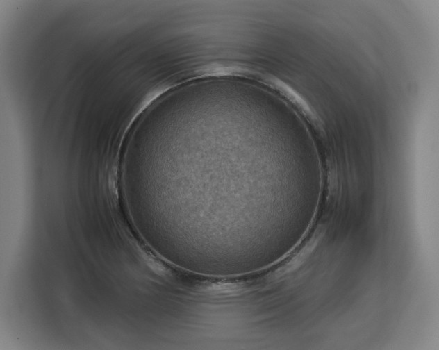 X0000112951178200908311503