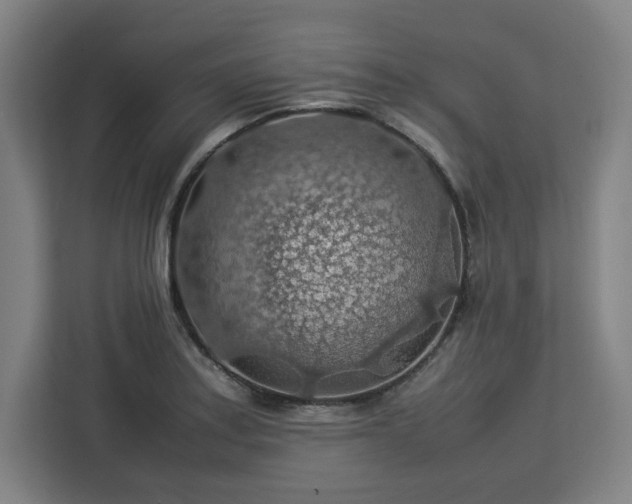 X0000112951179200908311503