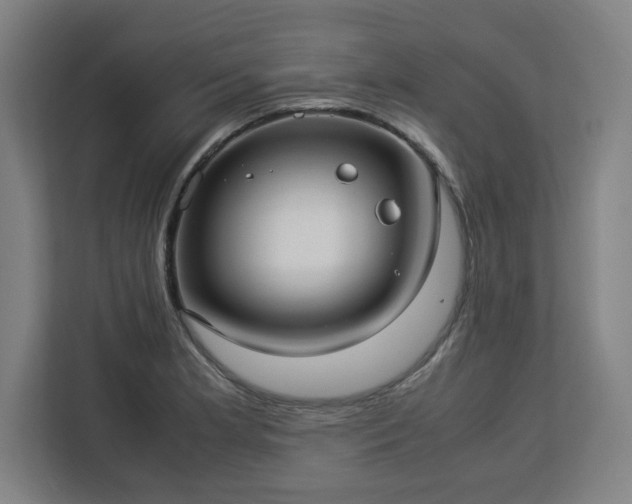 X0000112951181200908311503