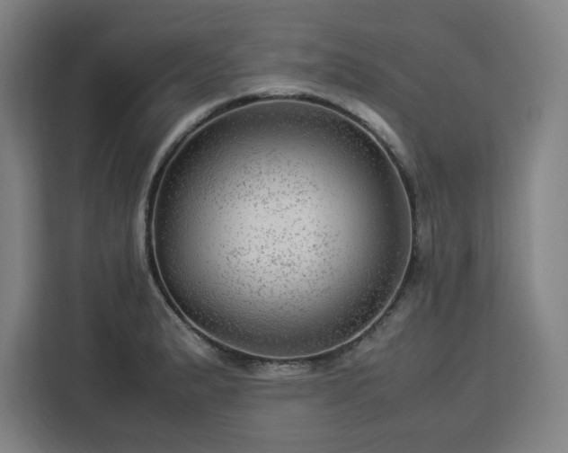 X0000112951183200908311503