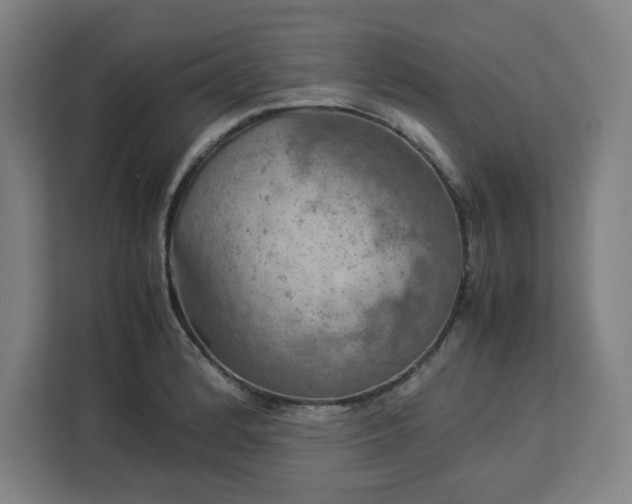 X0000112951184200908311503