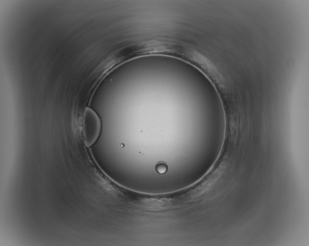 X0000112951185200908311503