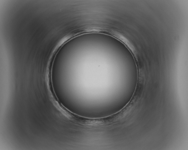 X0000112951187200908311503