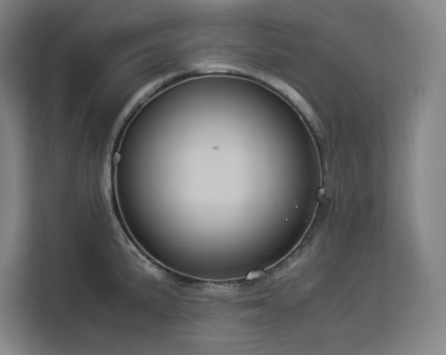 X0000112951191200908311503