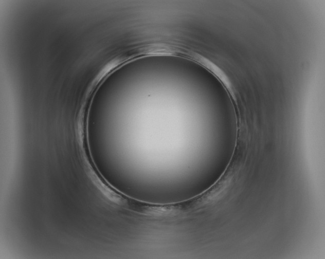 X0000112951195200908311503