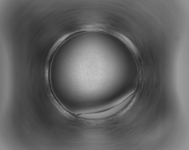 X0000112951196200908311503