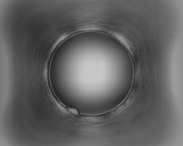 X0000112951197200908311503