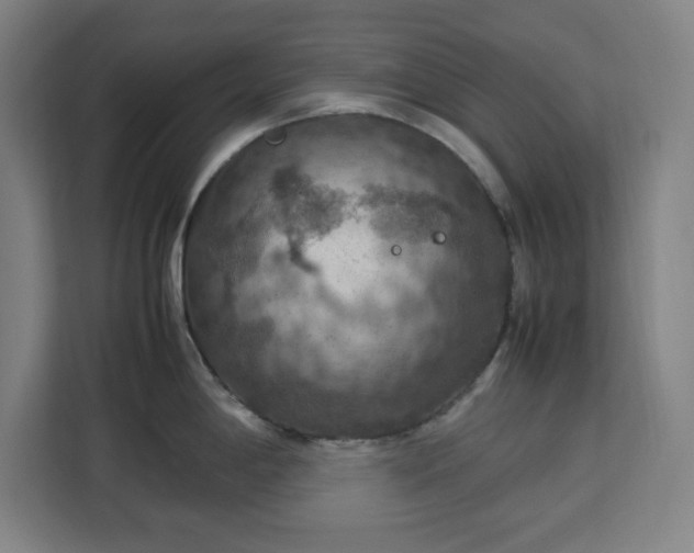 X0000112951198200908311503