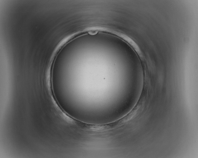 X0000112951199200908311503