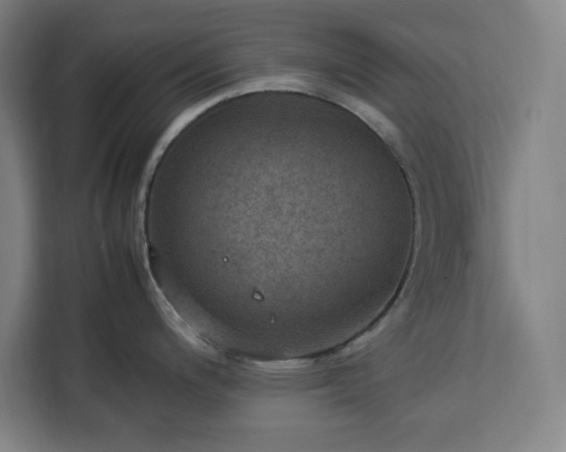 X0000112951200200908311503