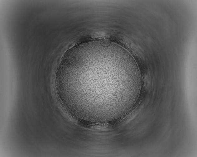 X0000112951201200908311502