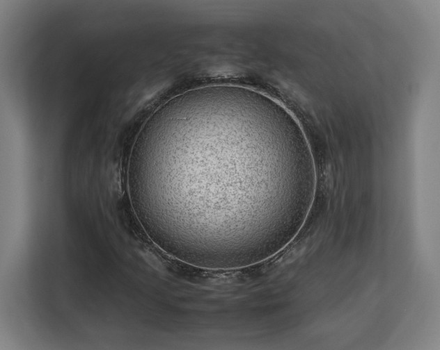 X0000112951205200908311502