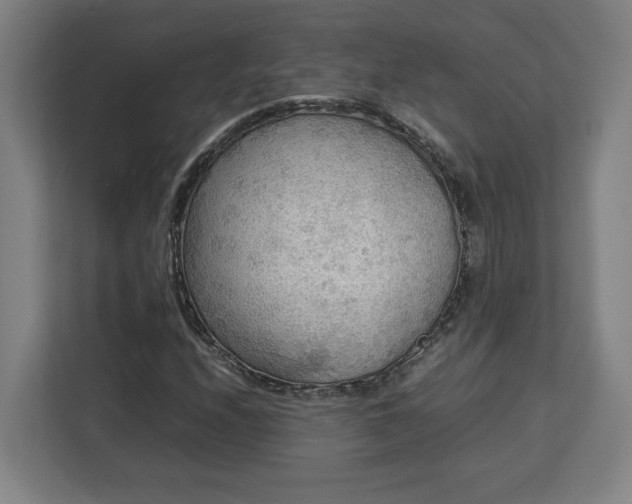 X0000112951208200908311502