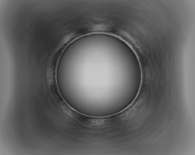 X0000112951211200908311502