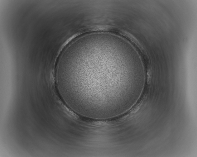 X0000112951212200908311502