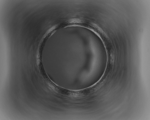 X0000112951213200908311502