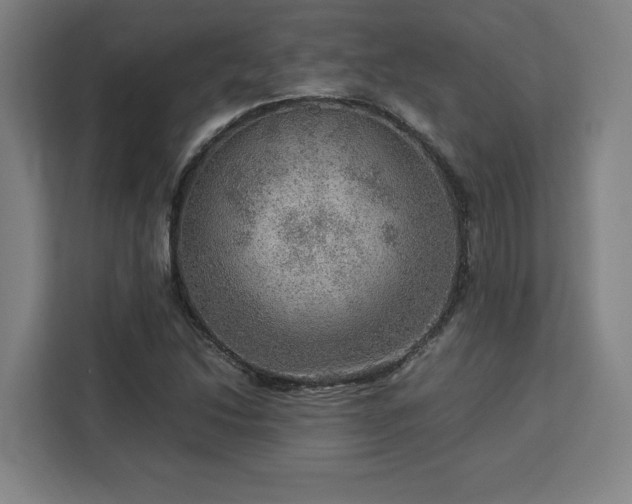 X0000112951214200908311502