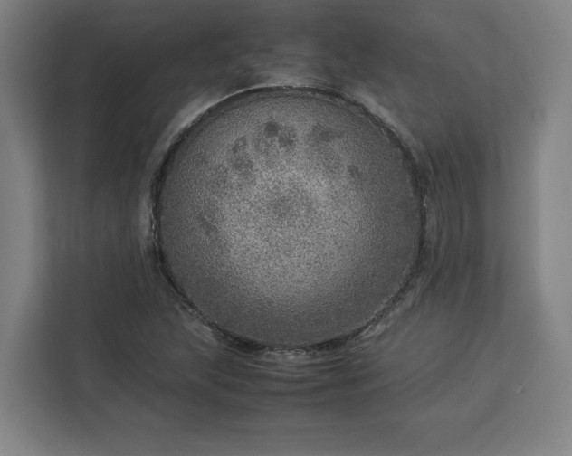 X0000112951215200908311502