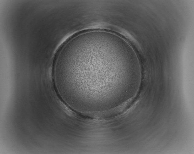 X0000112951216200908311502