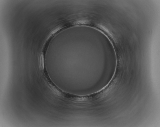 X0000112951219200908311502