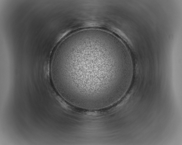 X0000112951220200908311502