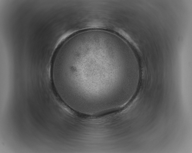 X0000112951222200908311502