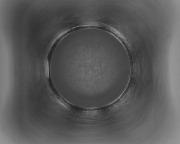 X0000112951223200908311502