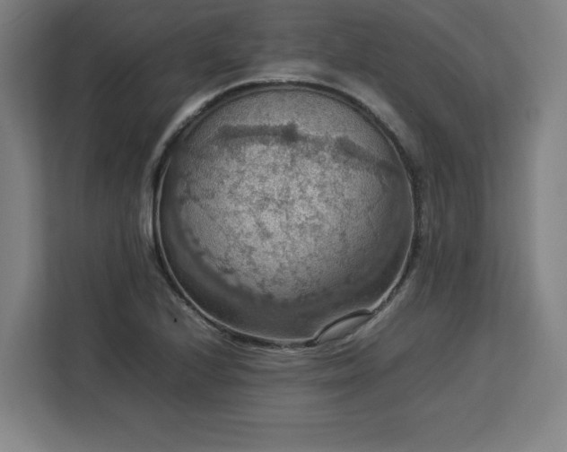 X0000112951224200908311502