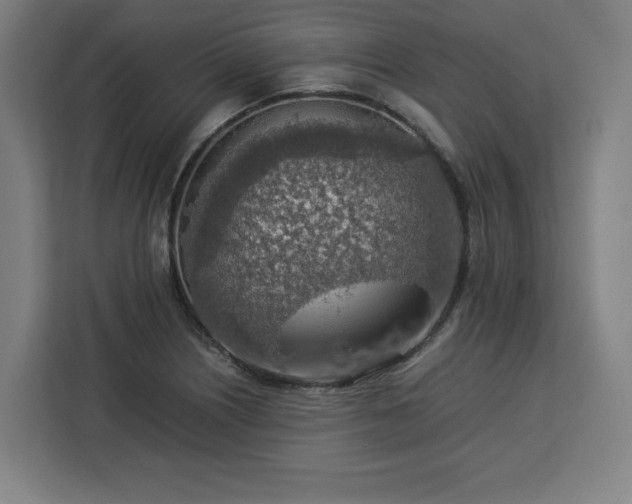 X0000112951226200908311502