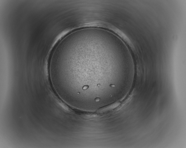 X0000112951230200908311502