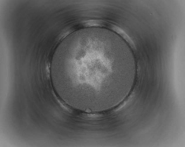 X0000112951233200908311503